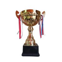 Copa-33cm-1-web-scaled-1.jpg