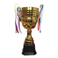 Copa-42cm-web-scaled-1.jpg